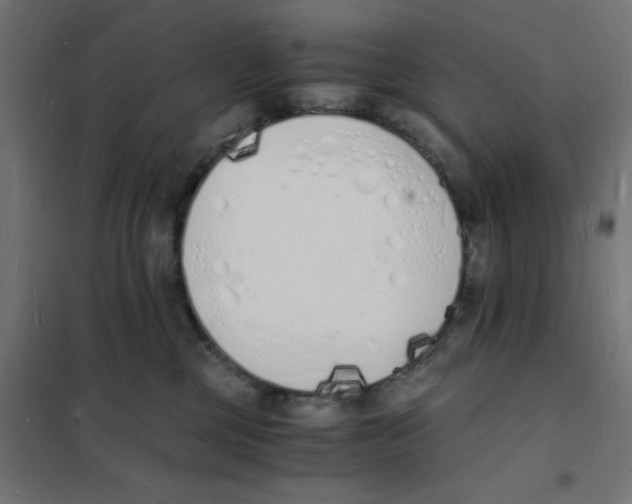 X0000101670377200808071050
