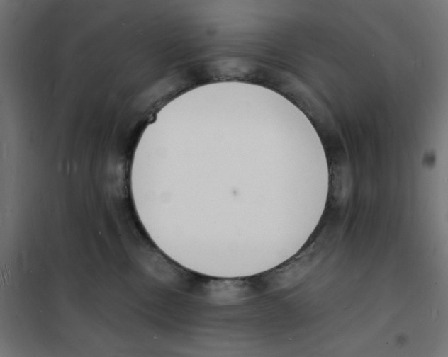 X0000101670378200808071050