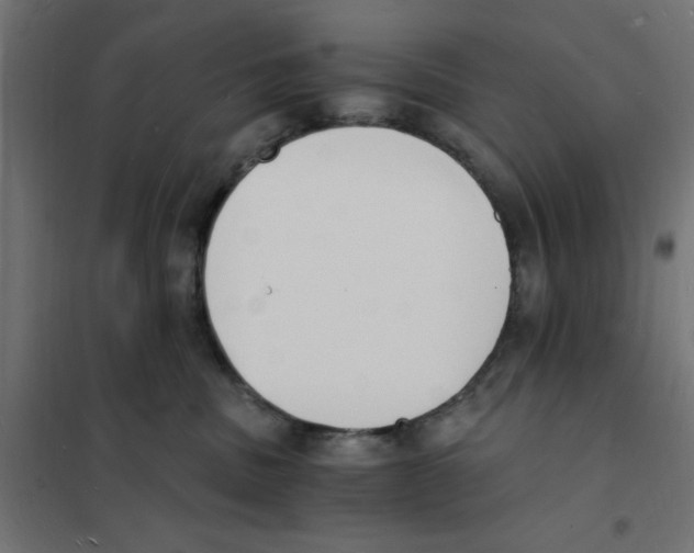X0000101670379200808071050