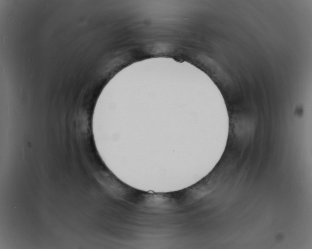 X0000101670380200808071050