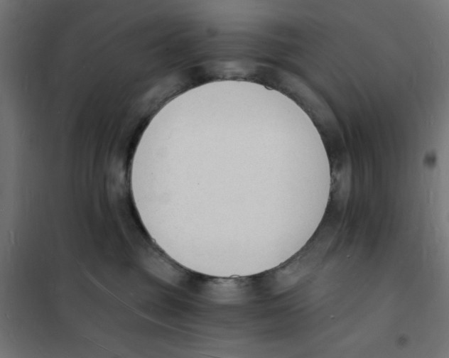 X0000101670381200808071050