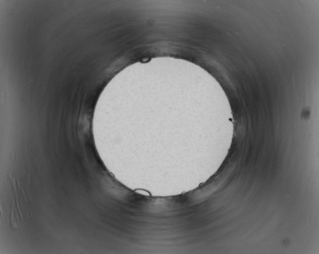 X0000101670382200808071050