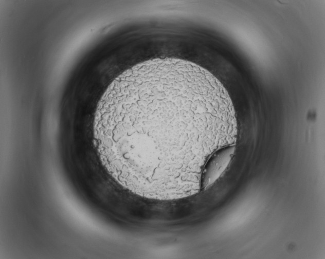 X0000101670383200808071050