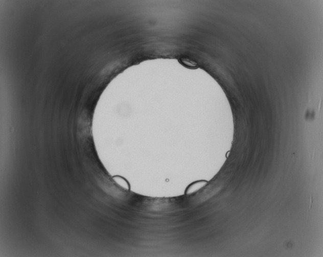 X0000101670384200808071050
