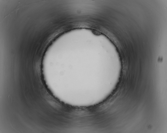 X0000101670386200808071050