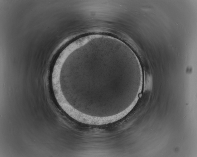 X0000101670387200808071050