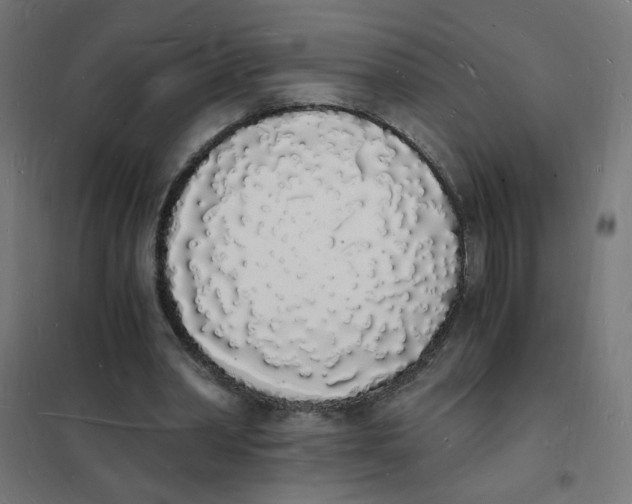 X0000101670390200808071050