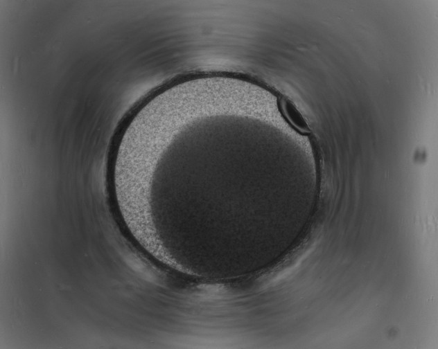 X0000101670391200808071050