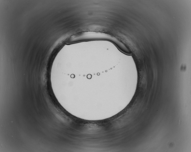 X0000101670392200808071050