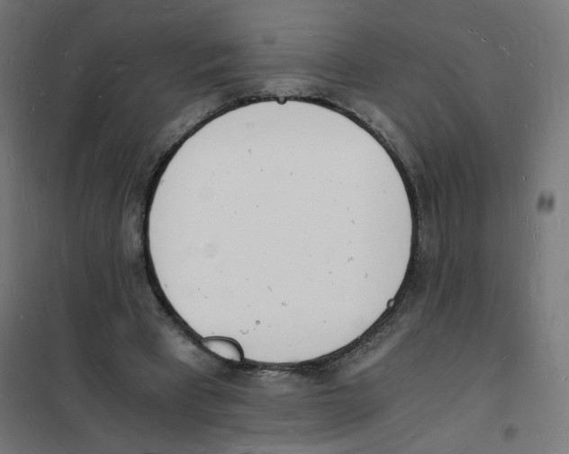 X0000101670393200808071050