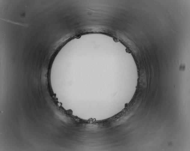 X0000101670394200808071050