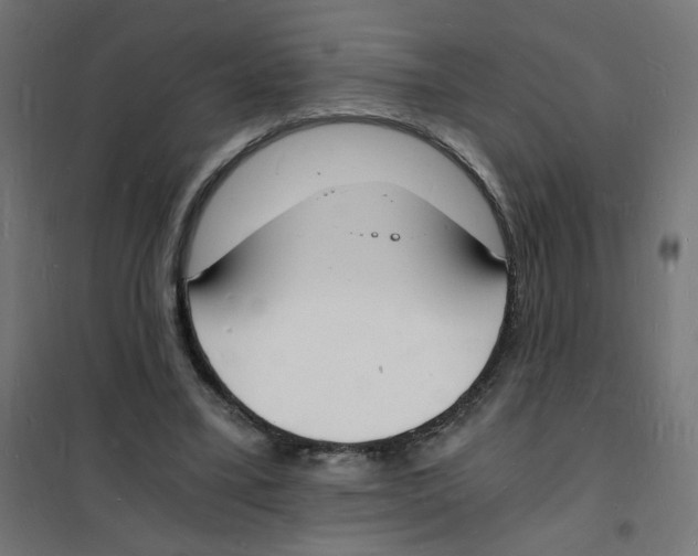 X0000101670395200808071050