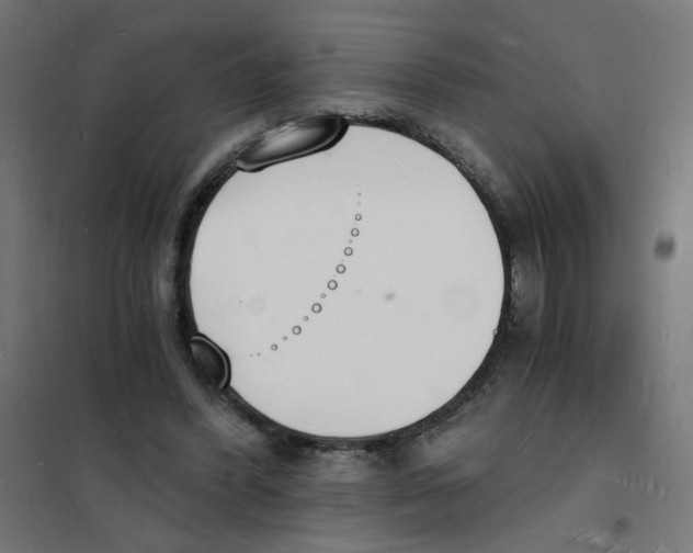 X0000101670396200808071050