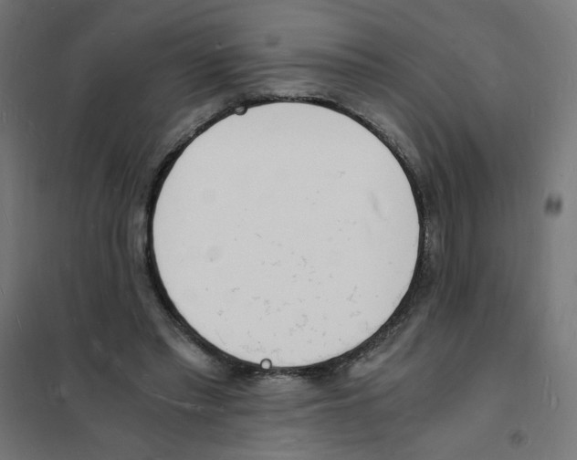 X0000101670397200808071050