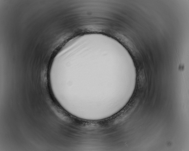 X0000101670398200808071050