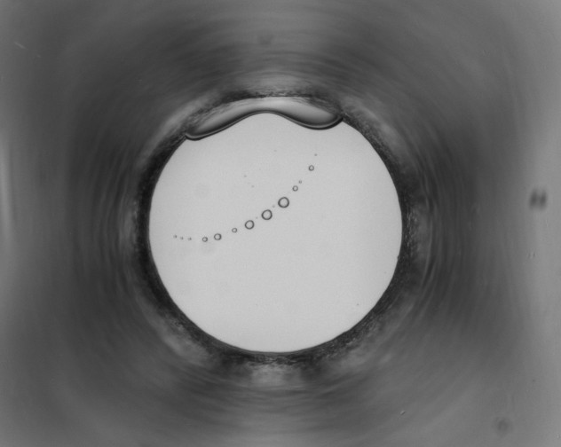 X0000101670400200808071050
