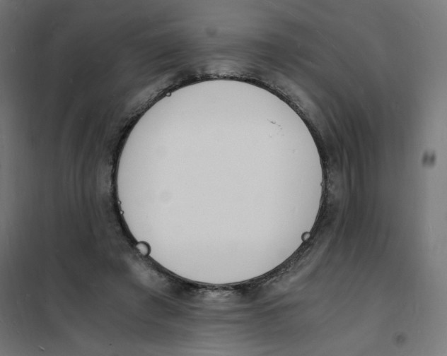 X0000101670401200808071050