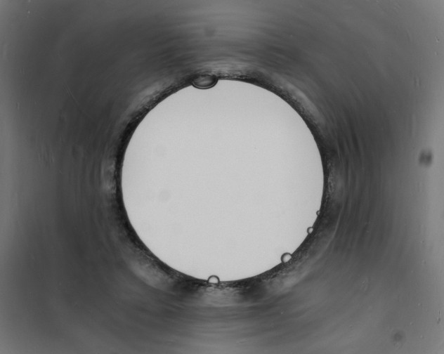 X0000101670403200808071050