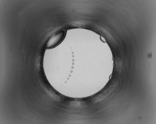 X0000101670404200808071049