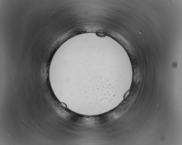 X0000101670405200808071049