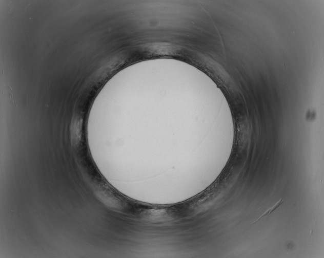 X0000101670406200808071049