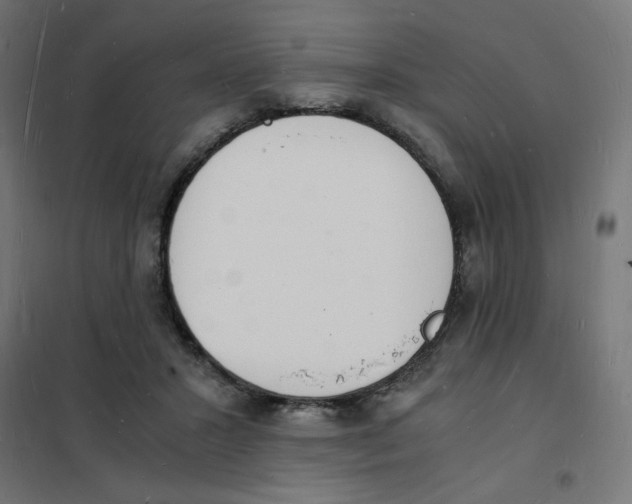 X0000101670407200808071049