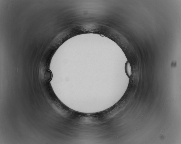 X0000101670408200808071049