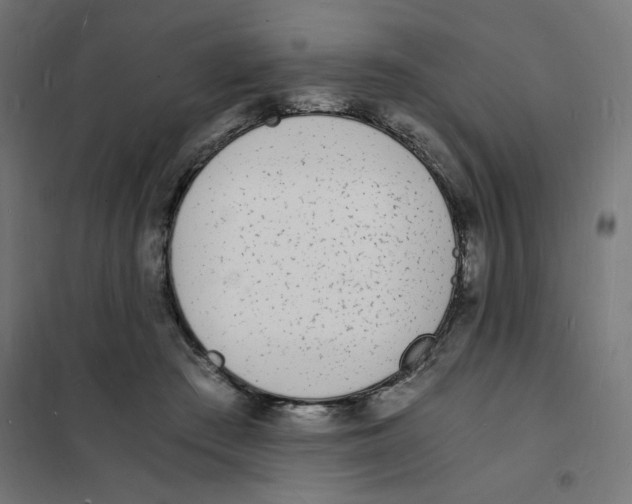 X0000101670409200808071049