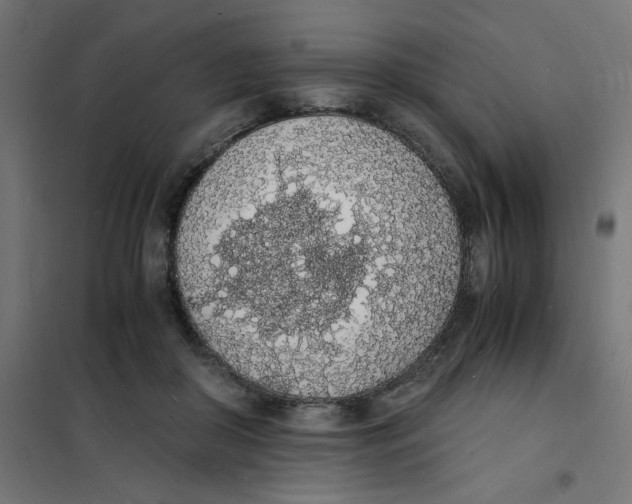 X0000101670410200808071049