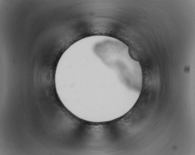 X0000101670411200808071049