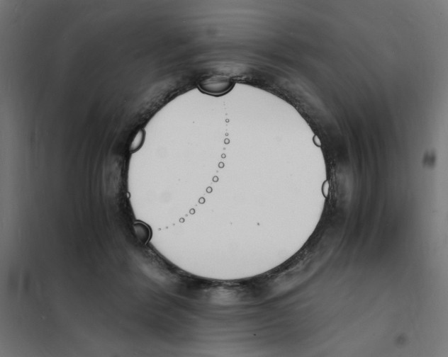 X0000101670412200808071049