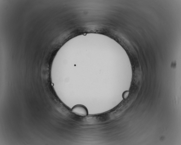 X0000101670413200808071049