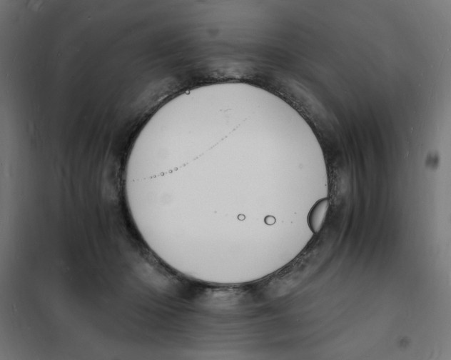 X0000101670414200808071049