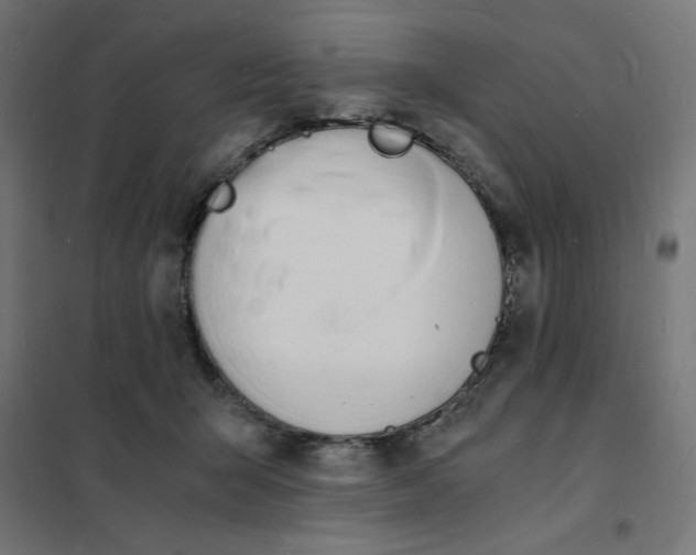 X0000101670415200808071049