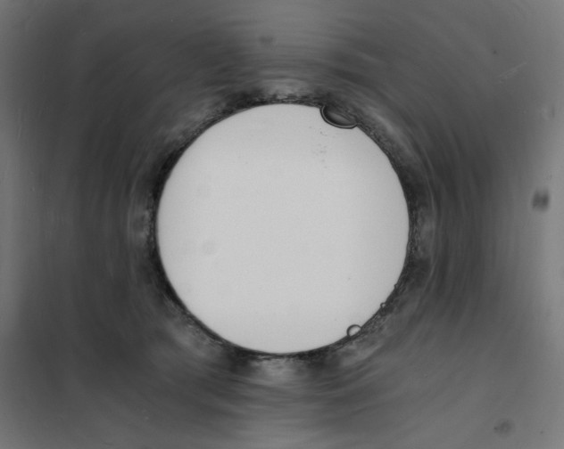 X0000101670417200808071049