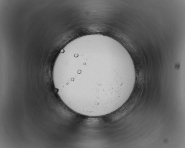 X0000101670418200808071049