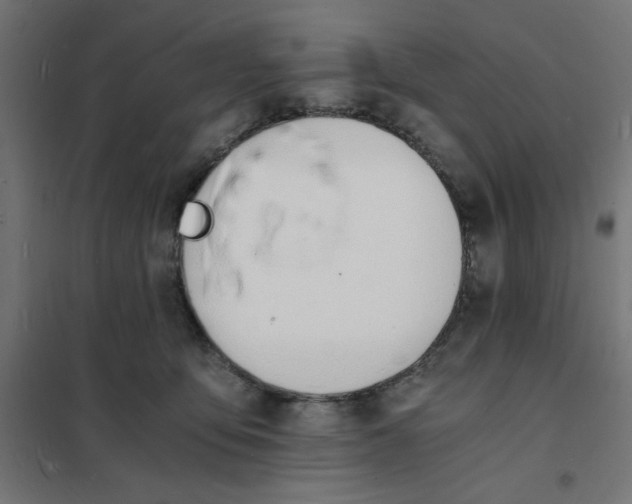 X0000101670419200808071049