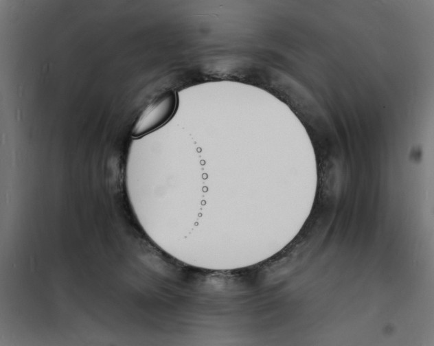 X0000101670420200808071049