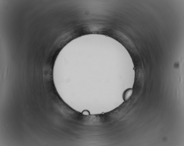 X0000101670421200808071049