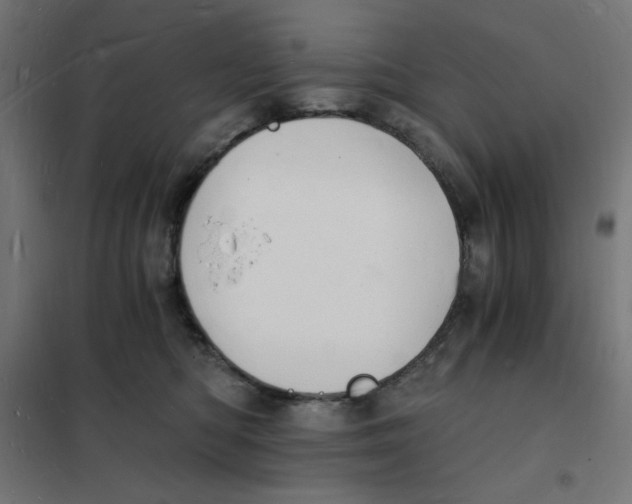 X0000101670422200808071049