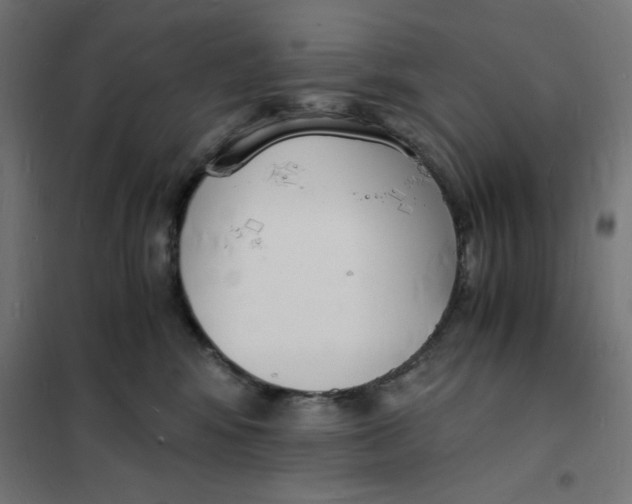 X0000101670424200808071049