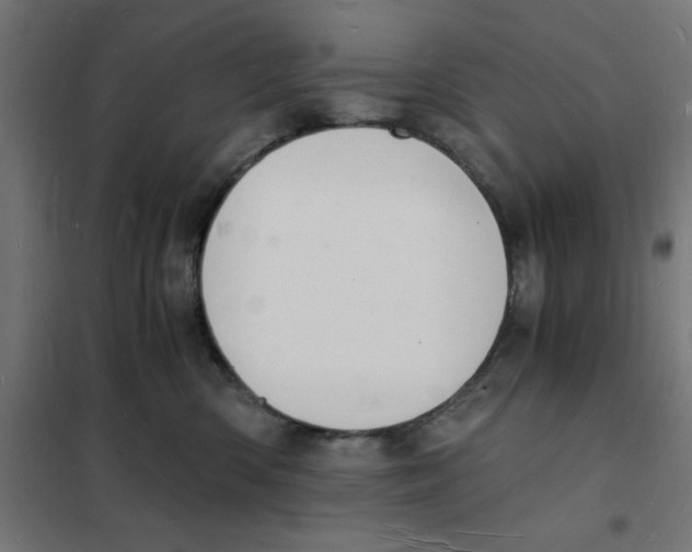 X0000101670426200808071049