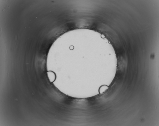 X0000101670427200808071049