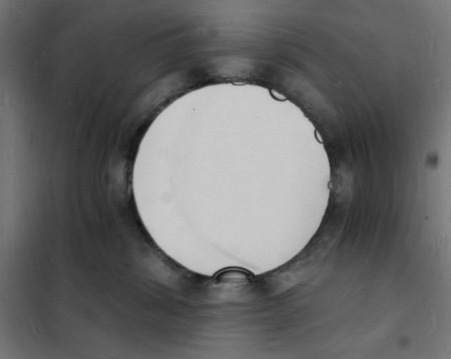 X0000101670428200808071049
