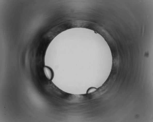 X0000101670429200808071049