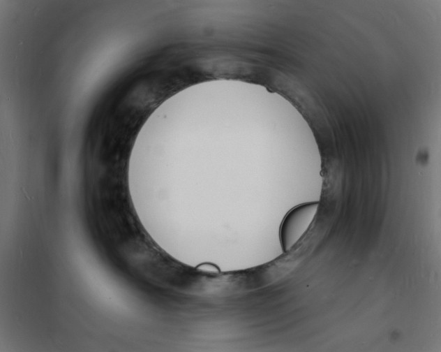 X0000101670430200808071049