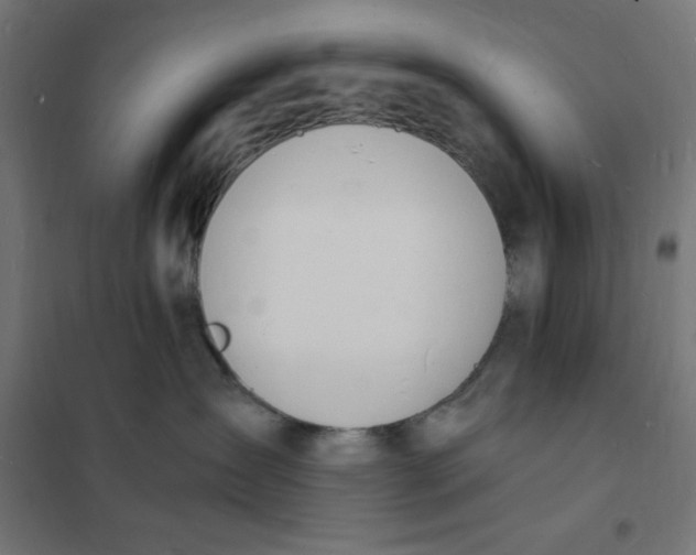 X0000101670431200808071049