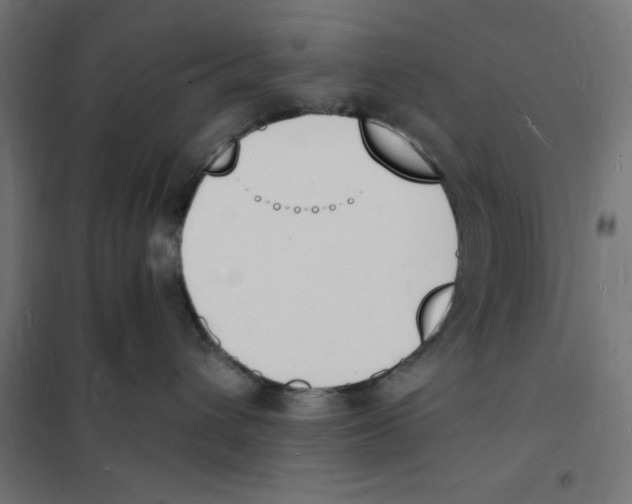 X0000101670432200808071049