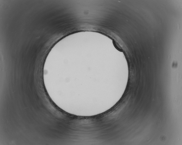 X0000101670433200808071048