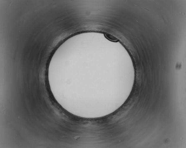 X0000101670434200808071048